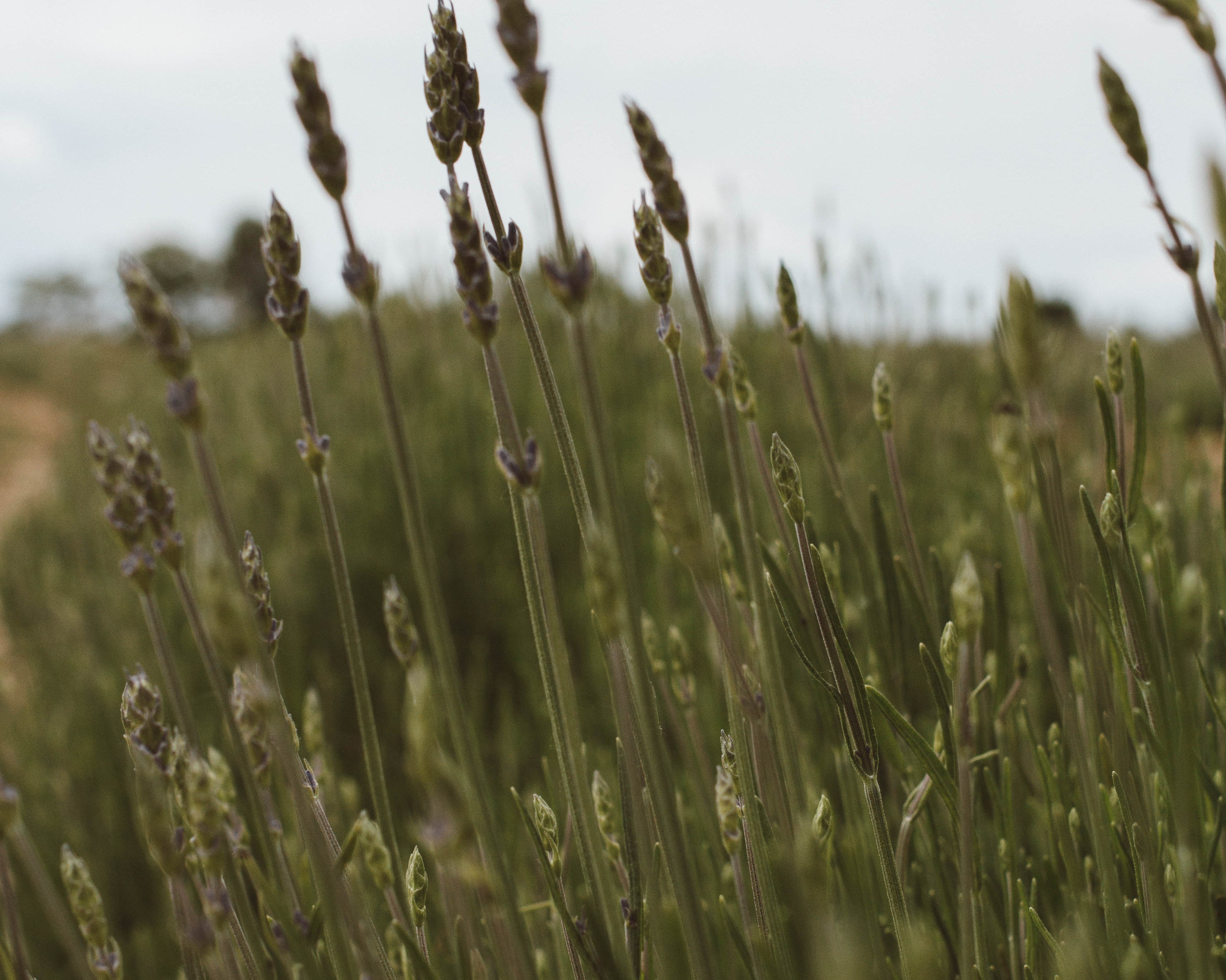 Product by Vendor. Eco-Friendly, Sustainable Products. Perfect for eco-conscious consumers.