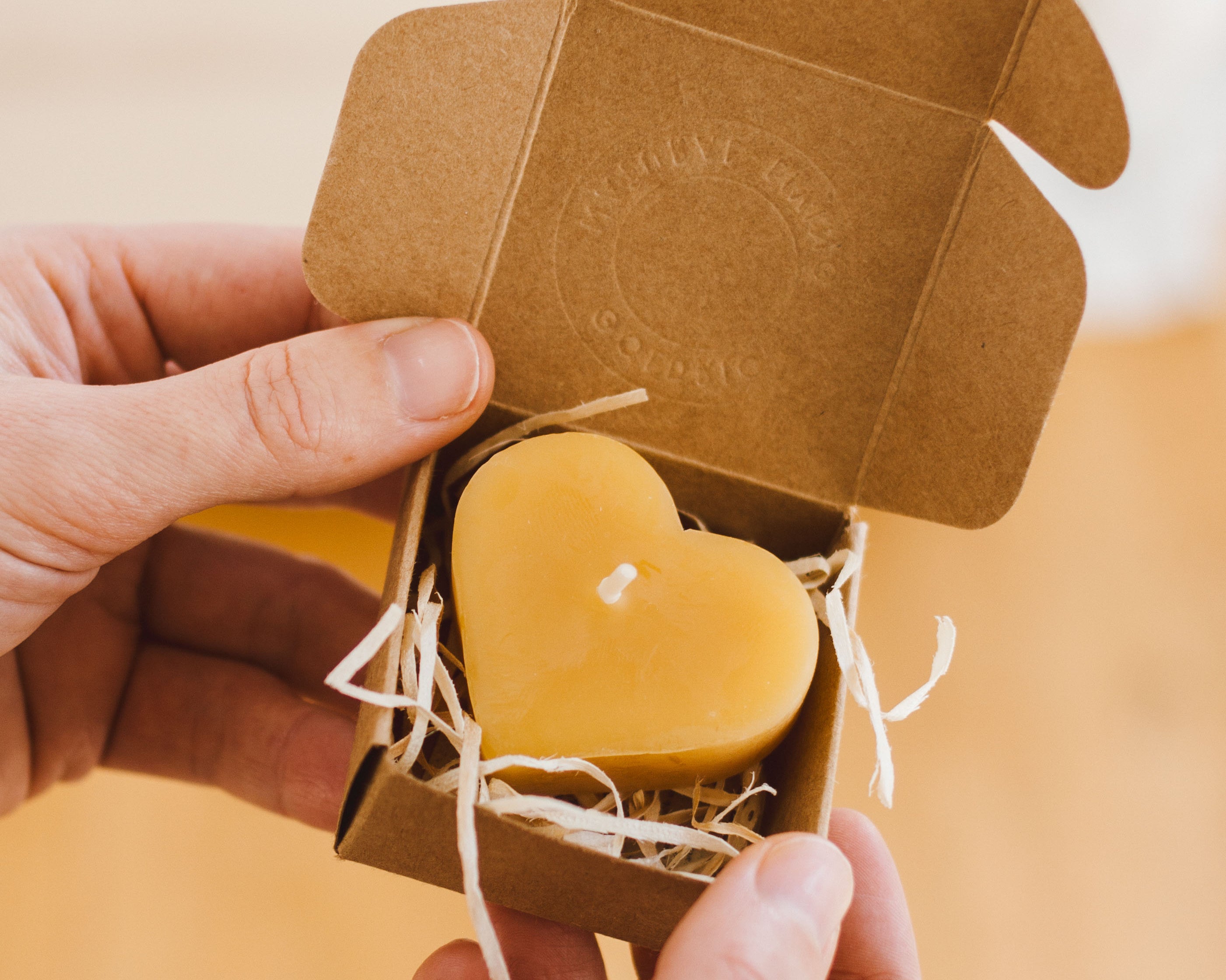 Product by Vendor. Eco-Friendly, Sustainable Products. Perfect for eco-conscious consumers.