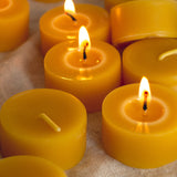 Product by Vendor. Eco-Friendly, Sustainable Products. Perfect for eco-conscious consumers.